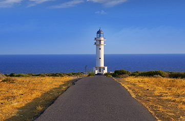 Saborear Formentera… ¡a través de sus vinos!